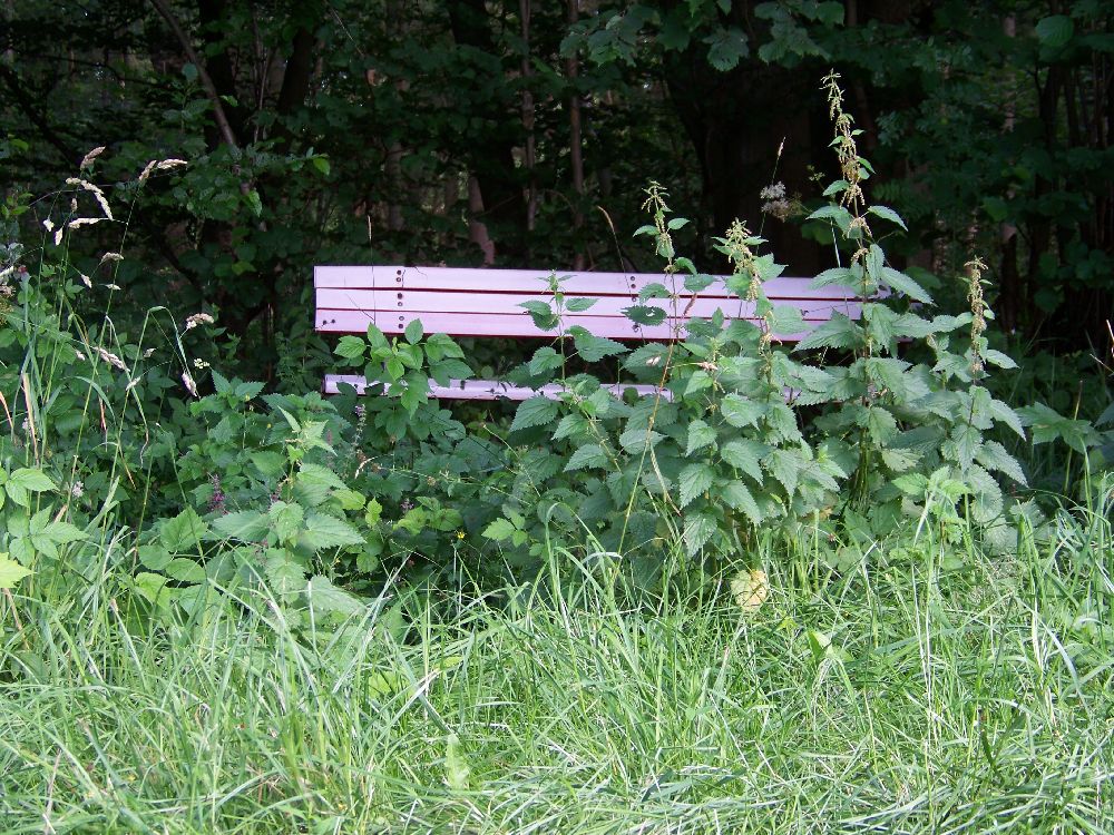 Wiemerstedt in Dithmarschen